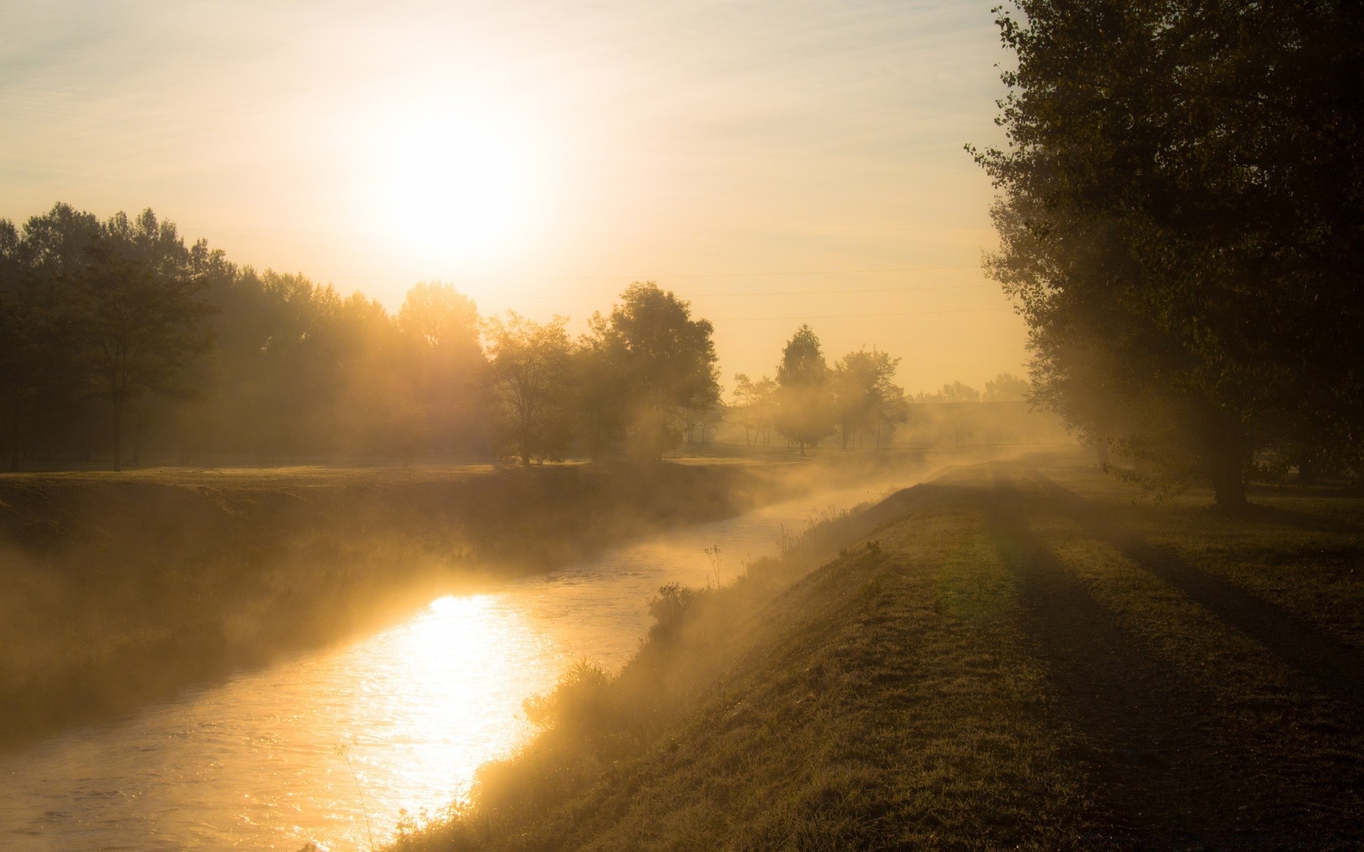 paysage coucher de soleil aube brouillard paysage soleil brouillard soir eau nature arbre lac rétro-éclairé ciel beau temps météo lumière à l extérieur crépuscule