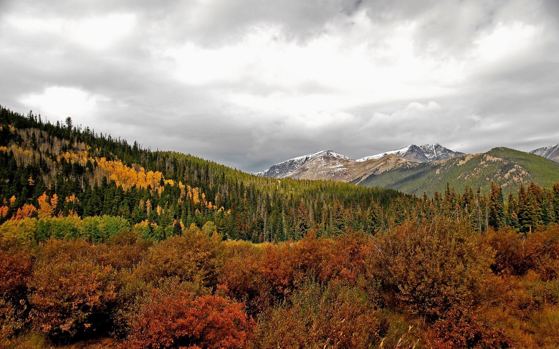 paisaje otoño madera paisaje al aire libre árbol naturaleza hoja viajes montaña escénico nieve coníferas cielo