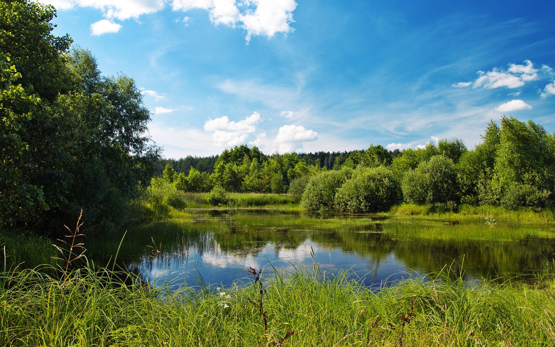 paysage nature paysage lac eau herbe réflexion à l extérieur arbre été rivière ciel bois piscine idylle pittoresque rural sang-froid beau temps environnement