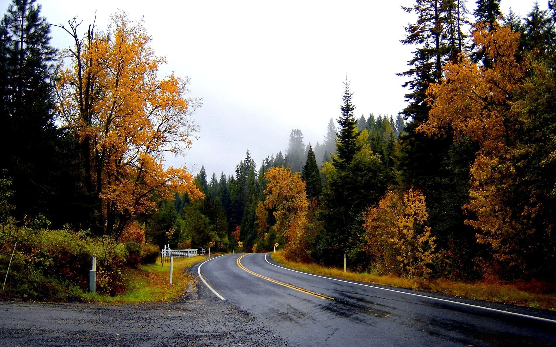 paisaje carretera otoño árbol madera hoja paisaje al aire libre guía naturaleza escénico rural campo asfalto parque callejón viajes carretera temporada