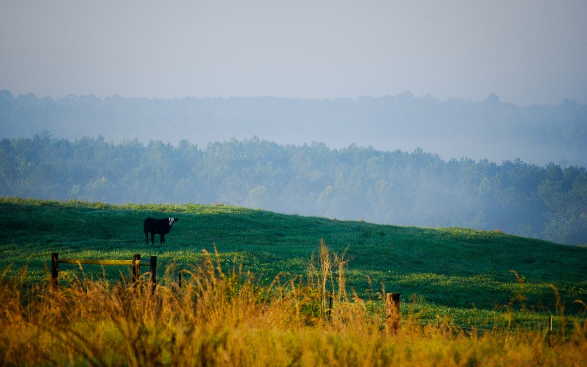 landschaft landschaft baum bebautes land landwirtschaft im freien himmel landschaftlich tageslicht natur reisen feld herbst hügel weiden bauernhof gras nebel holz dämmerung