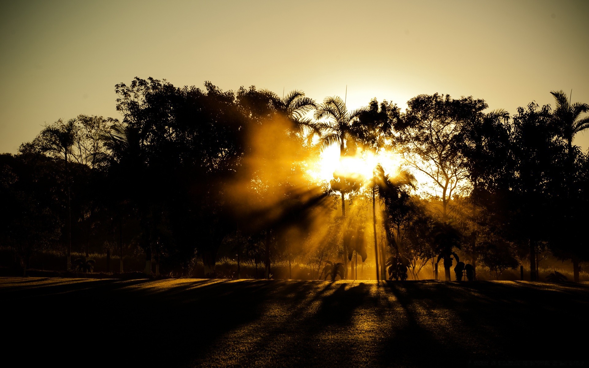 paisaje puesta de sol amanecer árbol sol iluminado niebla paisaje silueta naturaleza noche cielo luz crepúsculo niebla buen tiempo madera