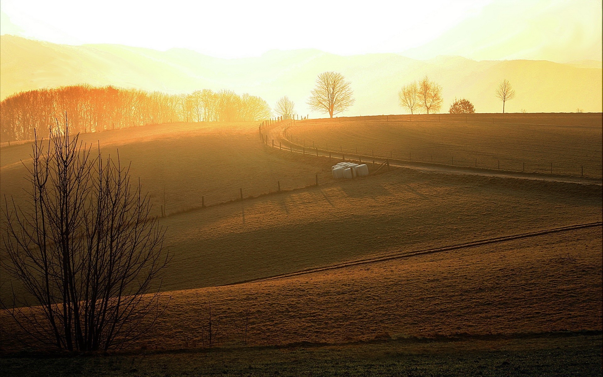 paysage paysage coucher de soleil aube brouillard hiver soir arbre automne nature ciel brouillard lumière soleil neige à l extérieur voyage crépuscule météo beau temps