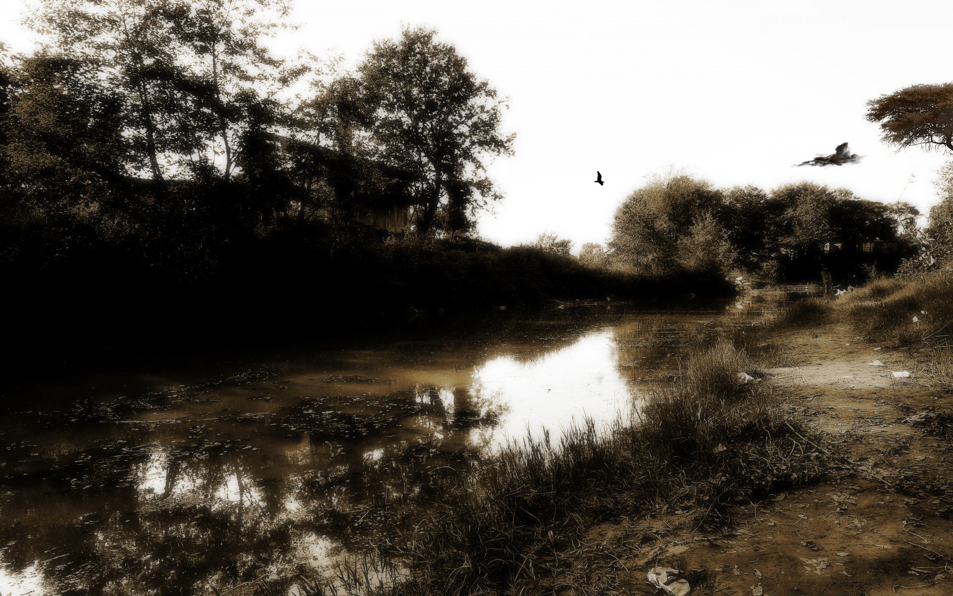 paysage paysage eau arbre réflexion rivière nature lac lumière météo brouillard à l extérieur environnement automne plage