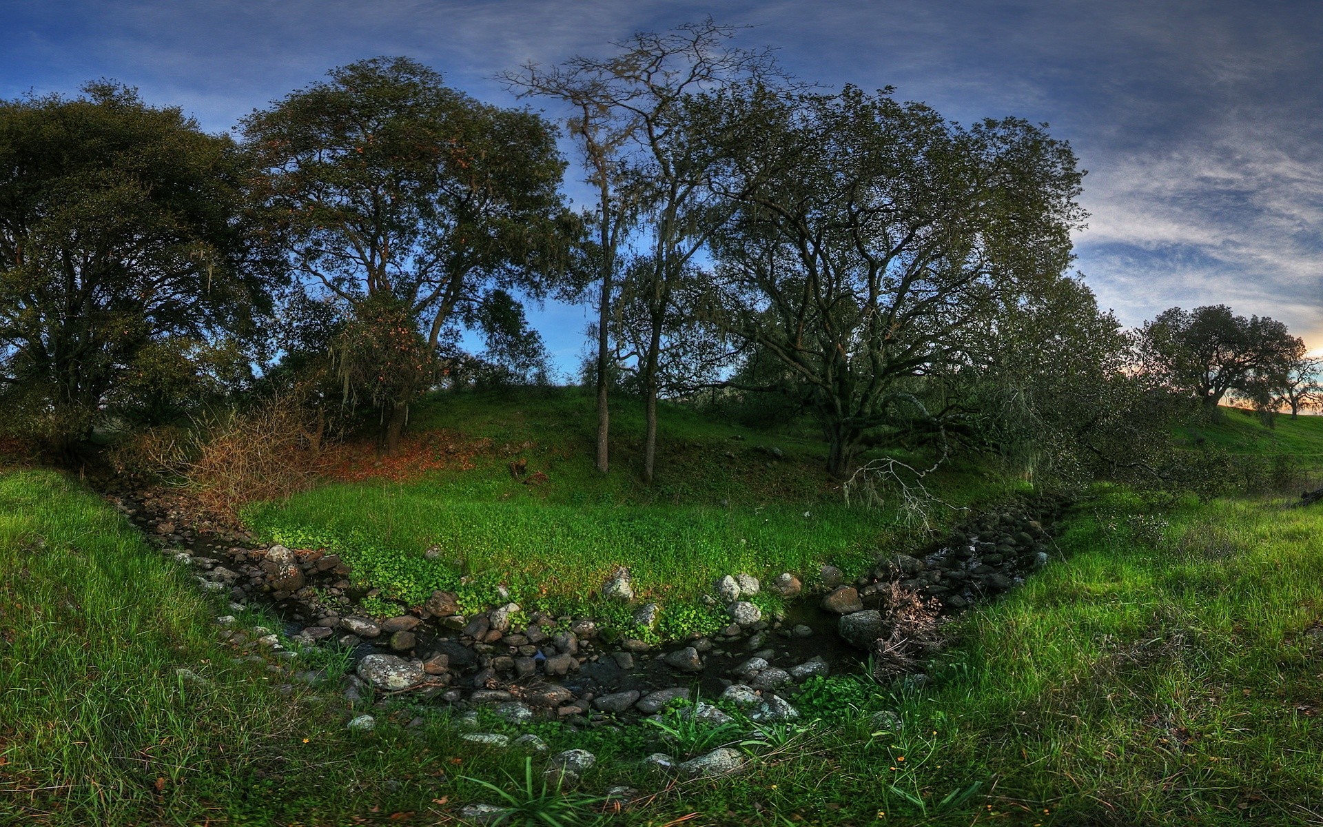 paysage paysage arbre nature herbe bois foin environnement ciel rural sol extérieur feuille campagne champ scénique été flore parc manuel