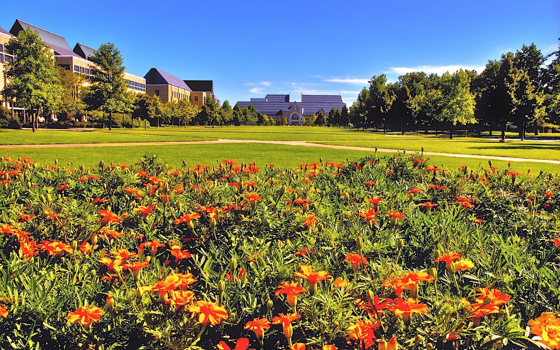 landscapes flower garden flora agriculture nature landscape grass field summer outdoors tree hayfield lawn farm park growth rural