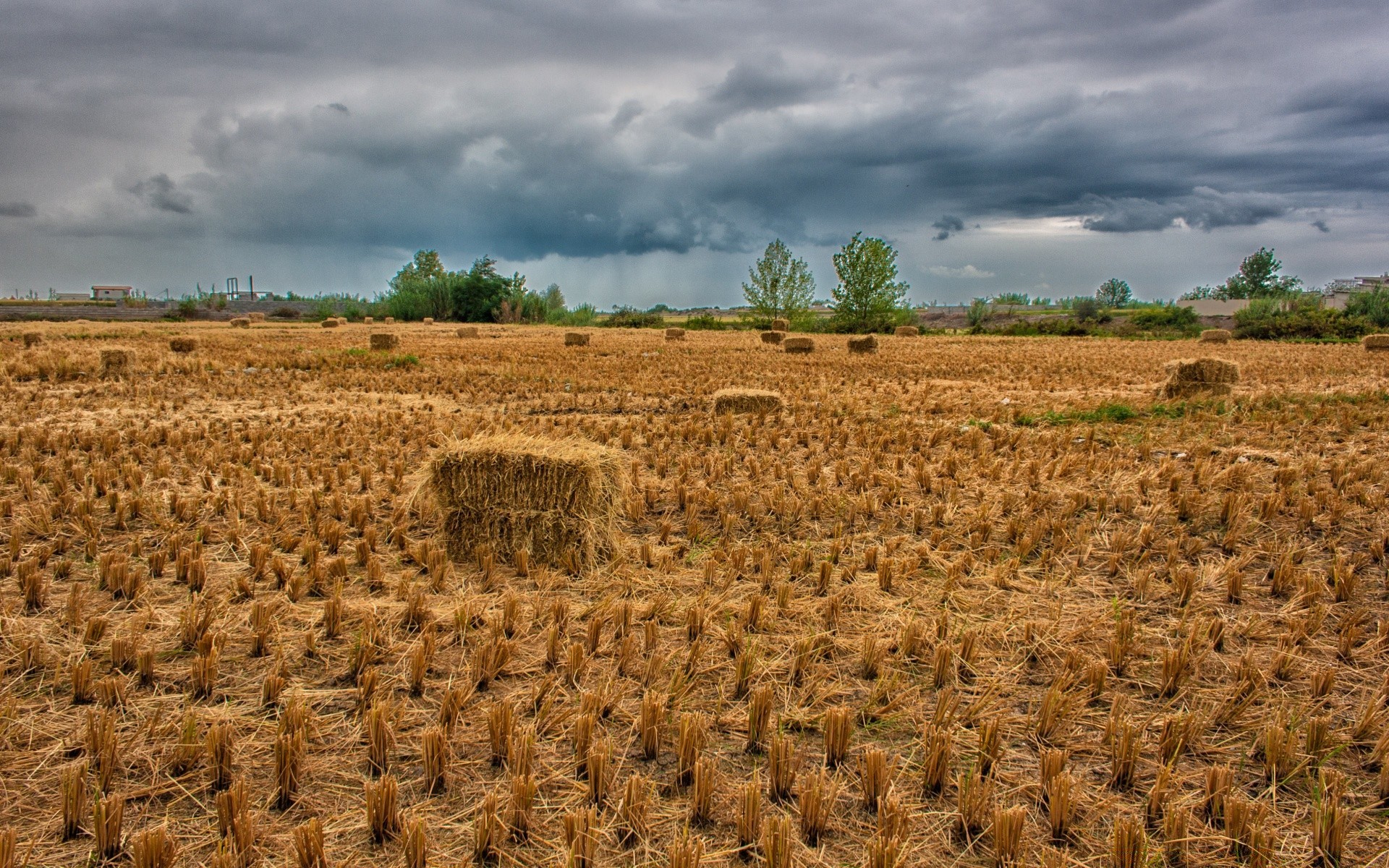 paesaggio agricoltura fattoria pascolo rurale raccolto natura grano campagna campo all aperto paglia fiocchi paesaggio terreno coltivato secco suolo cielo terreno agricolo oro