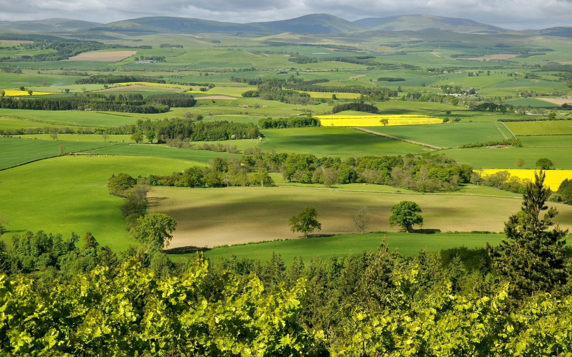 landschaft landschaft landwirtschaft landschaft hügel bebautes land feld bauernhof landschaftlich natur im freien des ländlichen haus baum heuhaufen ernte pastorale himmel zypresse tal