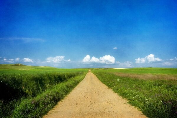 Green grass around a rural road