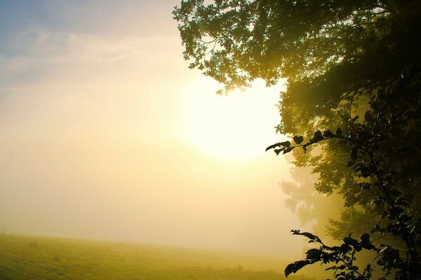 Beautiful landscapes at dawn in the valley