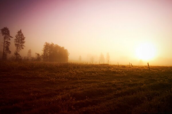 Schöne Aufnahme von Morgendämmerung Nebel am frühen Morgen