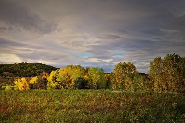 A beautiful forest lies beyond the mountains