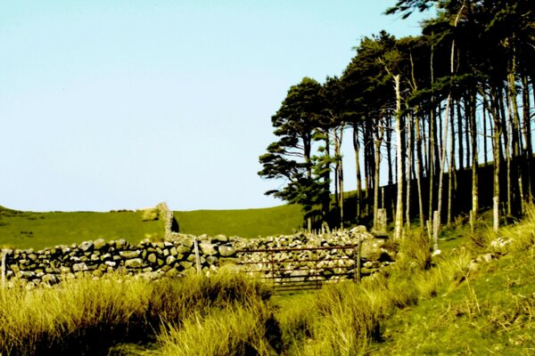 Beautiful landscape full of air