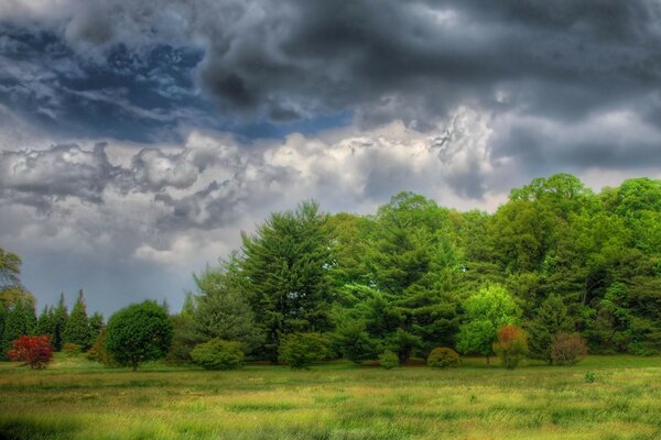 Paisaje verde del bosque en medio de nubes sombrías