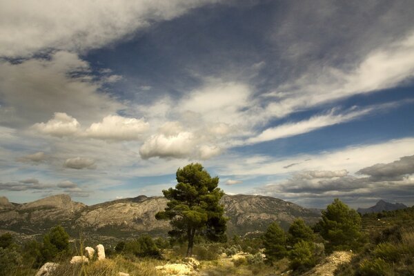 Nuages magnifiques parmi les montagnes