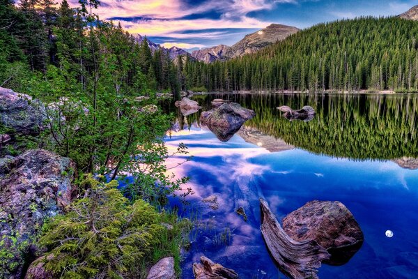 The forest is reflected in a mountain lake