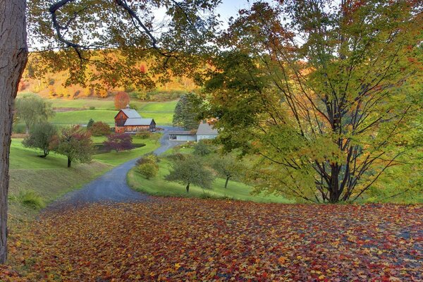 The fall of leaves came to the autumn town