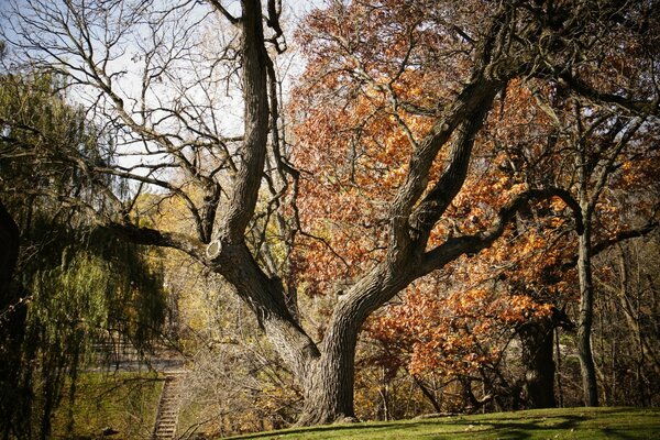 Nature automnale dans toute sa splendeur