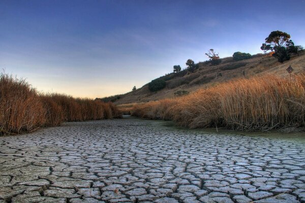 Dry grass and blue sky