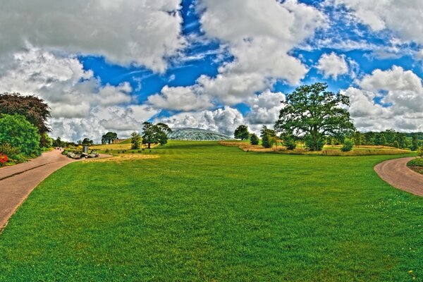 Summer glade in the park heat sun green grass