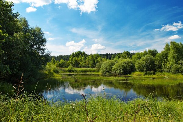 Nature étang beau ciel