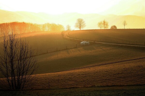 Un bel campo nella nebbia del mattino