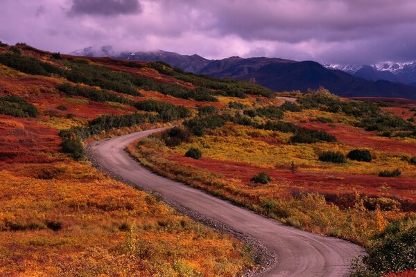 Un largo camino que conduce a las montañas