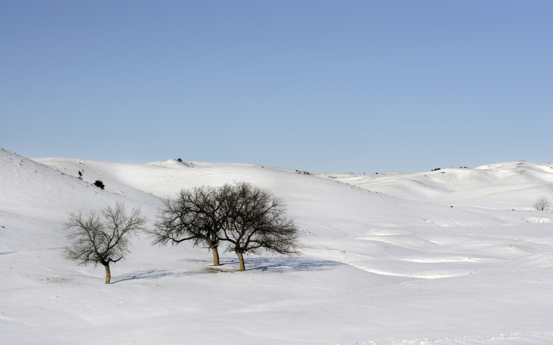 paesaggio neve inverno paesaggio freddo natura montagna collina scenico all aperto albero tempo gelo cielo viaggi stagione ghiaccio bel tempo congelato luce del giorno