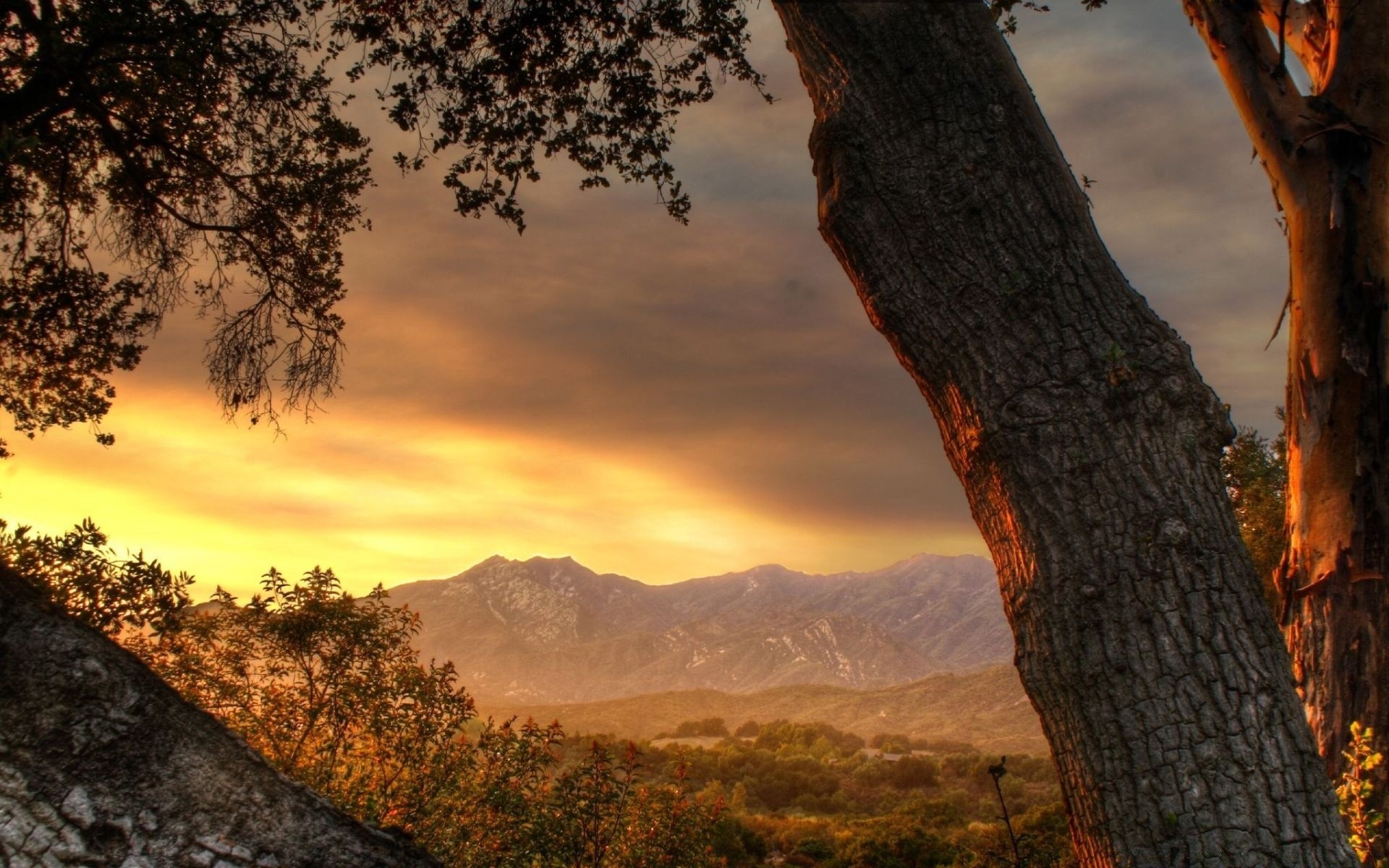 paysage arbre paysage nature ciel coucher de soleil montagnes à l extérieur bois automne aube voyage scénique