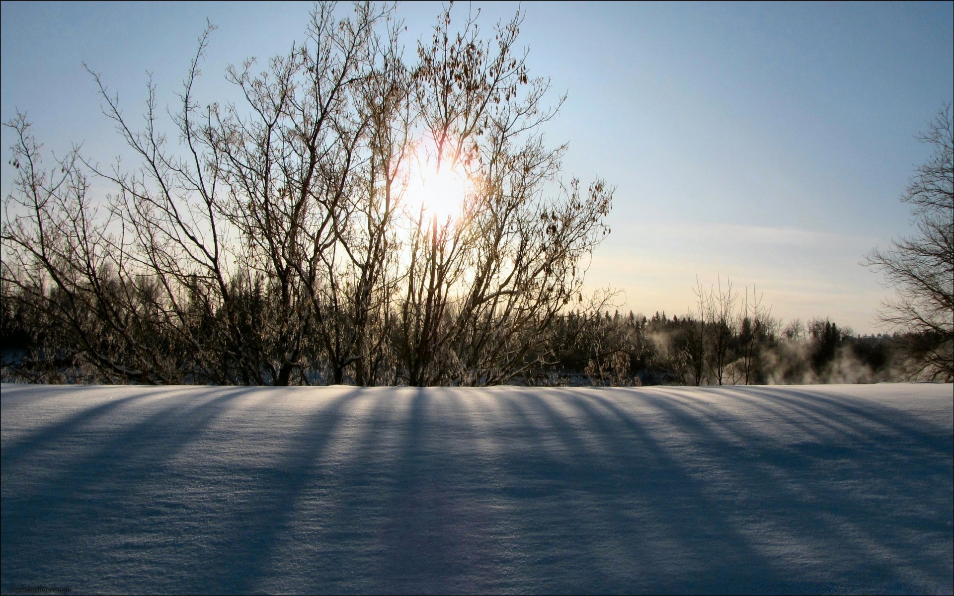 paysage hiver neige paysage arbre temps froid congelé gel route nature aube glace saison bois lumière beau temps brouillard soleil tempête de neige