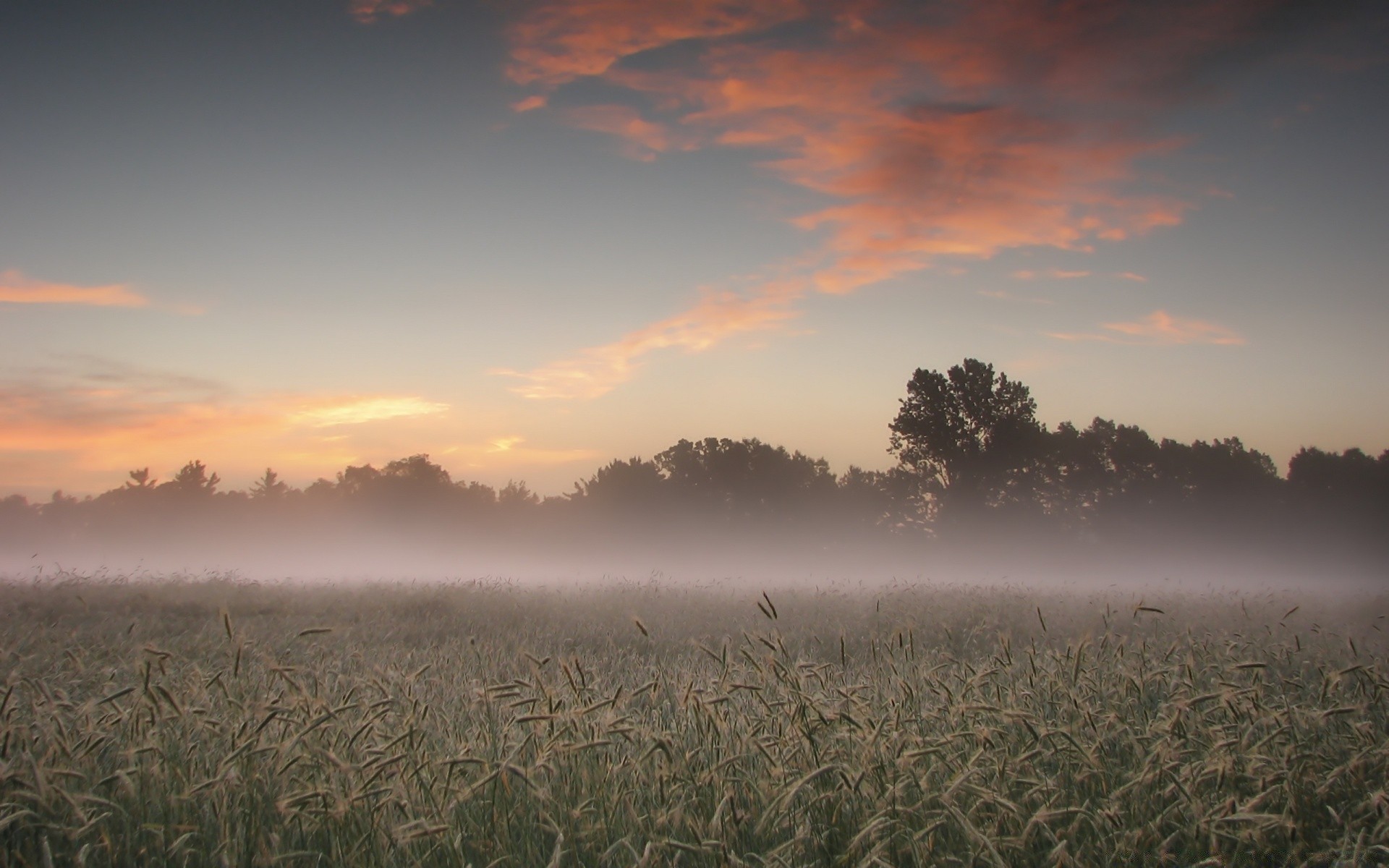 paysage coucher de soleil paysage aube soleil champ terre cultivée ciel blé soir crépuscule maïs nature céréales à l extérieur campagne été beau temps ferme rural