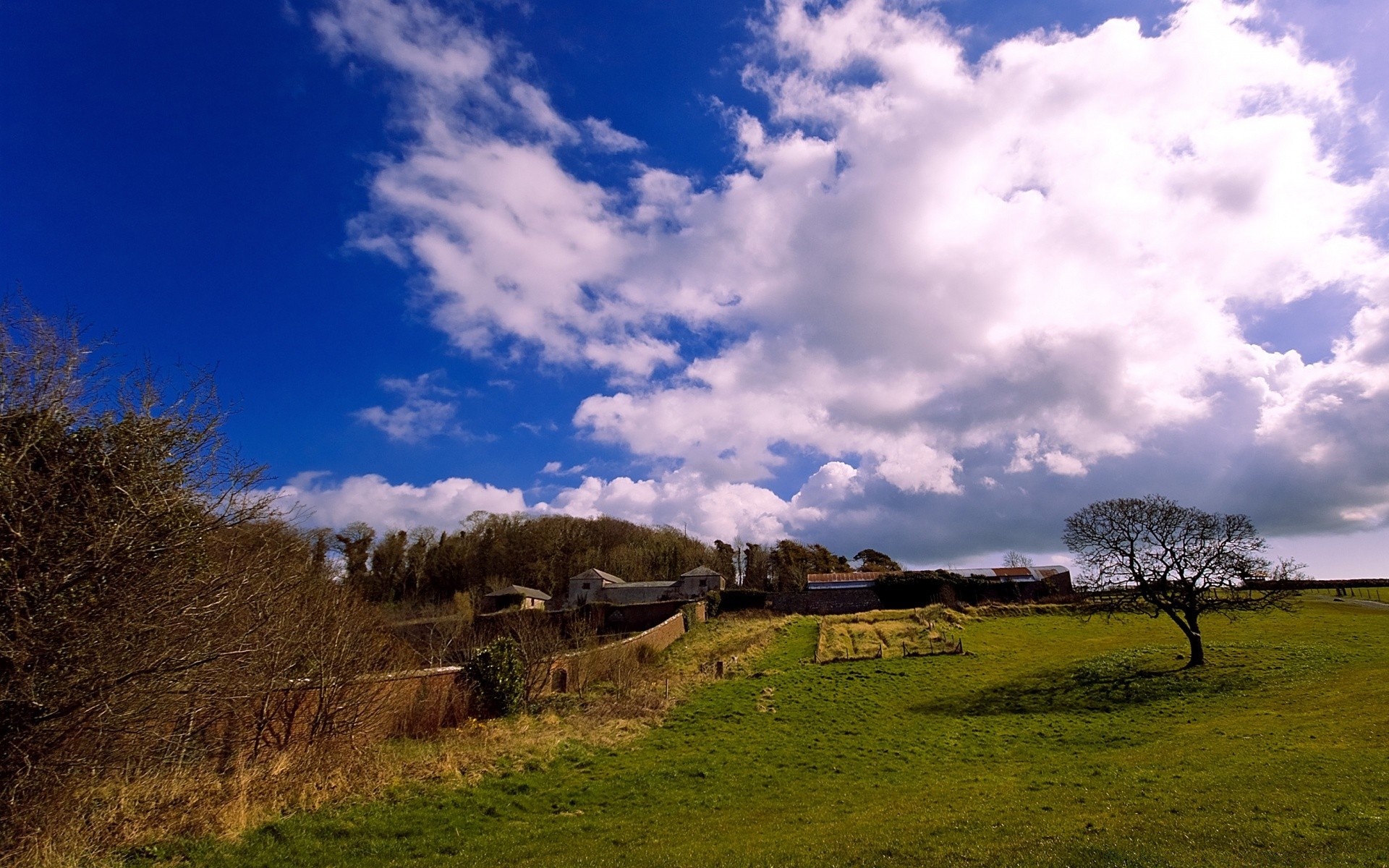 landscapes landscape sky grass nature outdoors tree rural countryside fall wood travel agriculture sunset fair weather