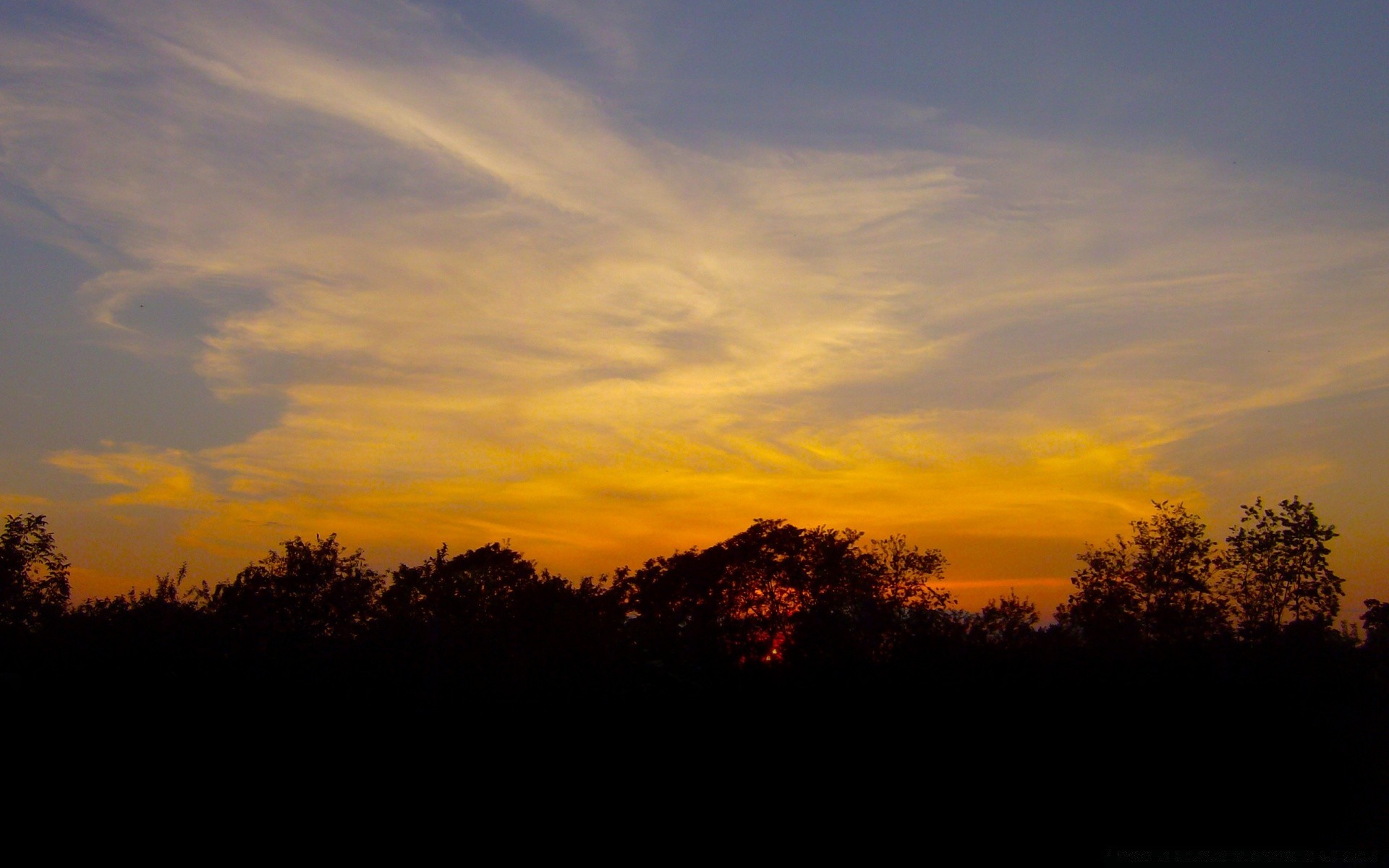 landscapes sunset dawn sun evening sky landscape dusk backlit nature silhouette tree