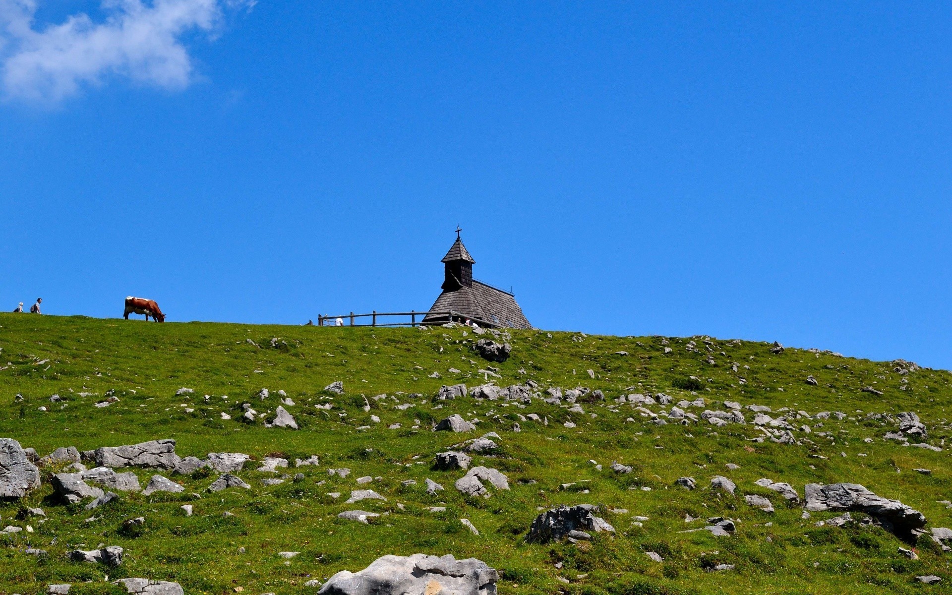 landscapes landscape travel outdoors grass sky sheep nature mountain grassland summer rock hill daylight