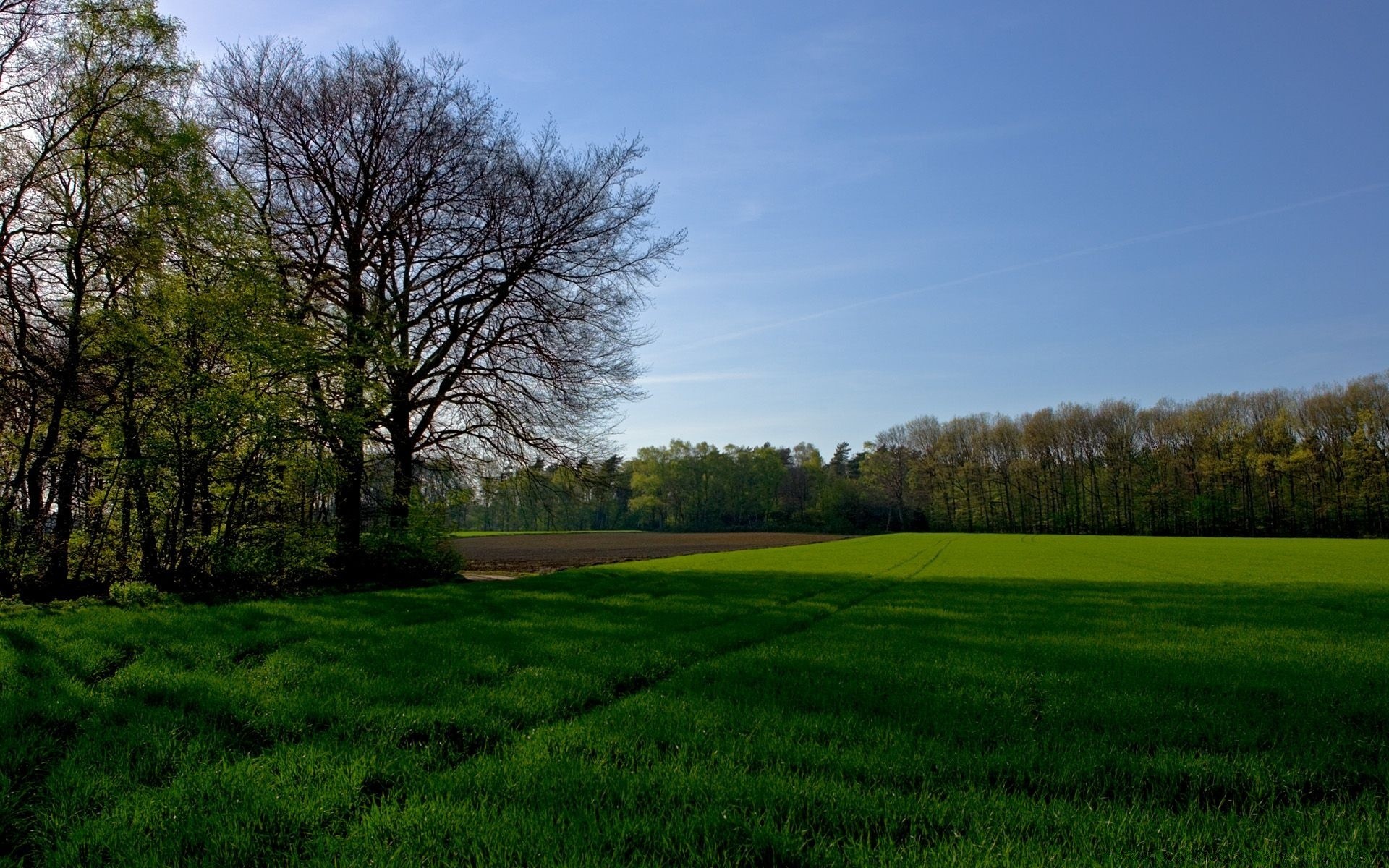 krajobrazy krajobraz drzewo trawa natura pole wieś sianokosy wiejskie na zewnątrz rolnictwo niebo gleba środowisko jesień drewno kraj lato