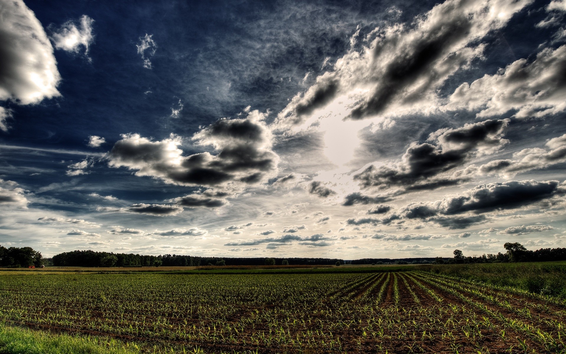 paisagens paisagem céu natureza agricultura campo fazenda pôr do sol tempestade sol rural rural ao ar livre amanhecer terra cultivada árvore solo bom tempo país luz