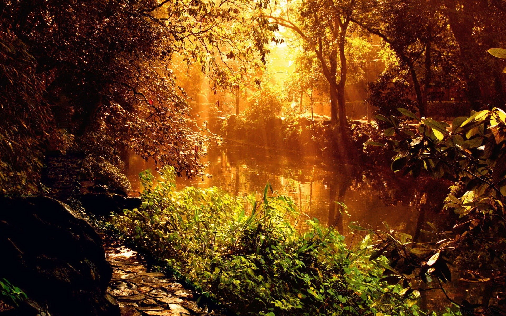 landschaft herbst blatt holz holz landschaft natur park nebel nebel im freien dämmerung gutes wetter landschaftlich jahreszeit umwelt