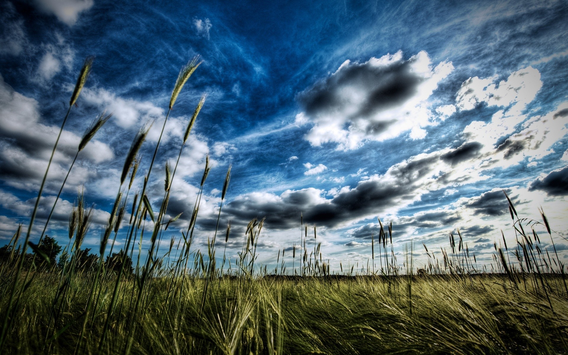 paisaje paisaje cielo naturaleza hierba campo sol nube puesta de sol granja luz al aire libre tiempo buen tiempo medio ambiente horizonte verano