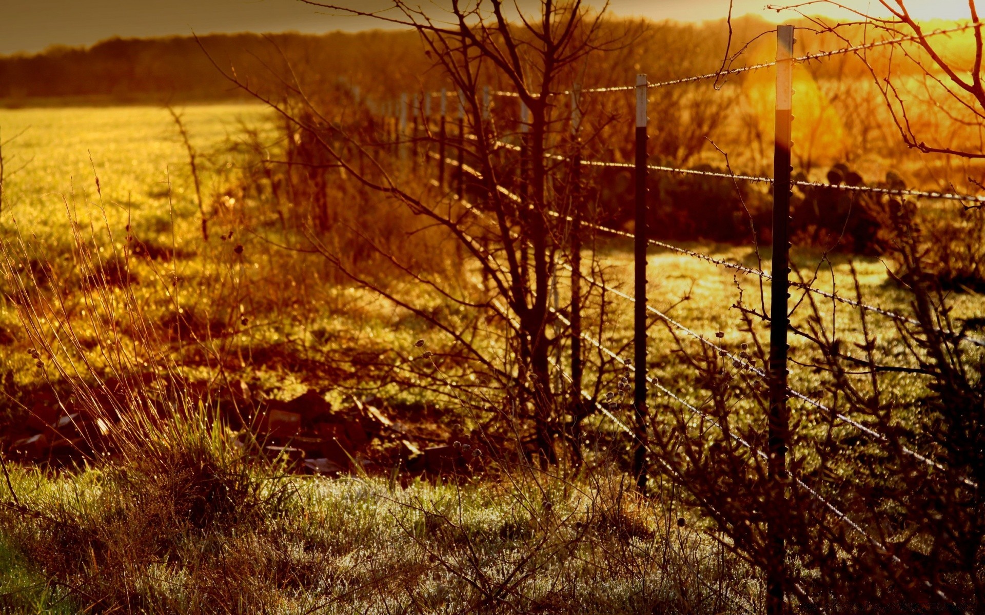 paisaje paisaje amanecer otoño puesta de sol naturaleza árbol madera al aire libre buen tiempo noche sol oro cielo luz niebla