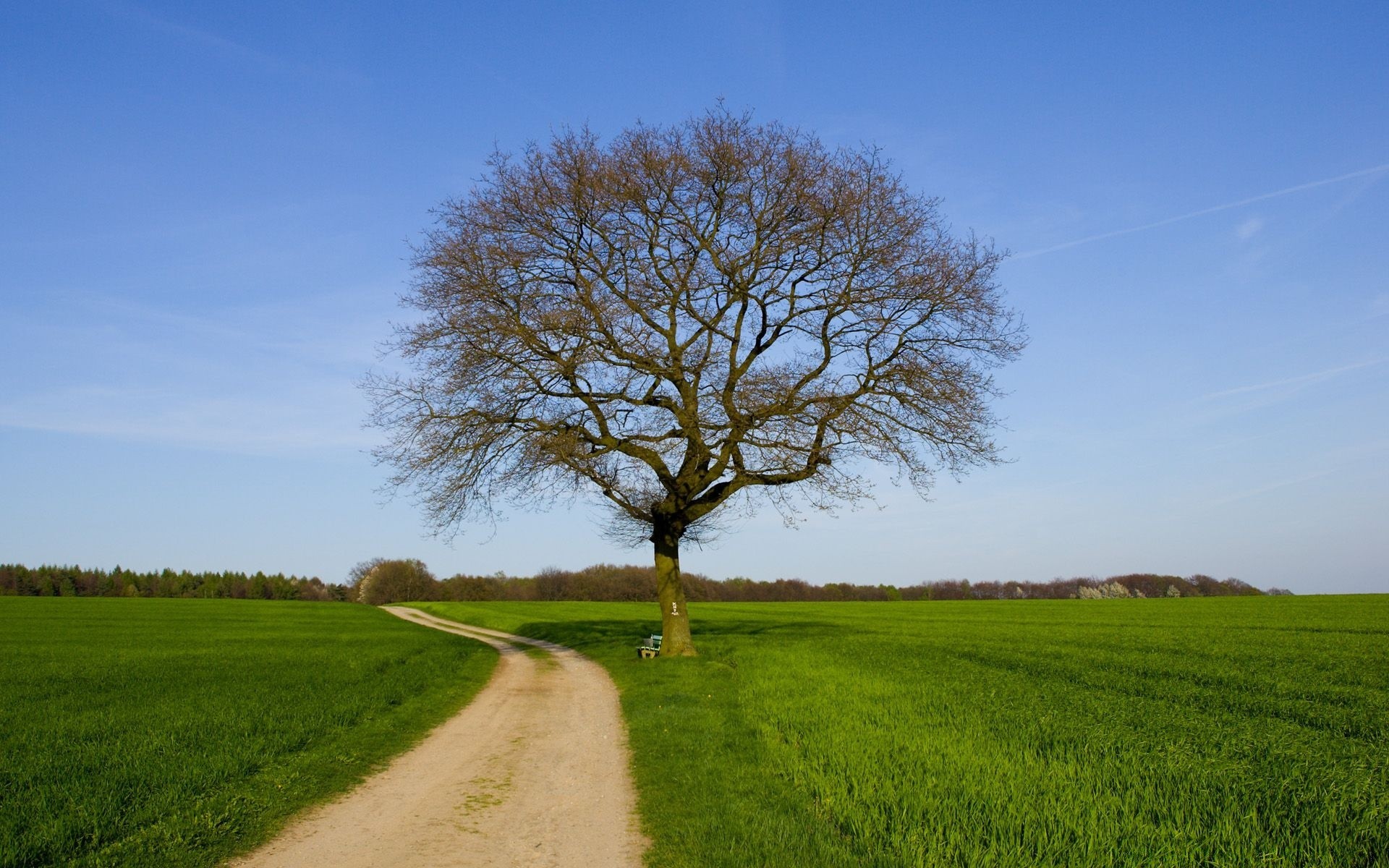 paesaggio paesaggio erba rurale albero campagna natura campo fieno cielo all aperto paese estate agricoltura singolo orizzonte