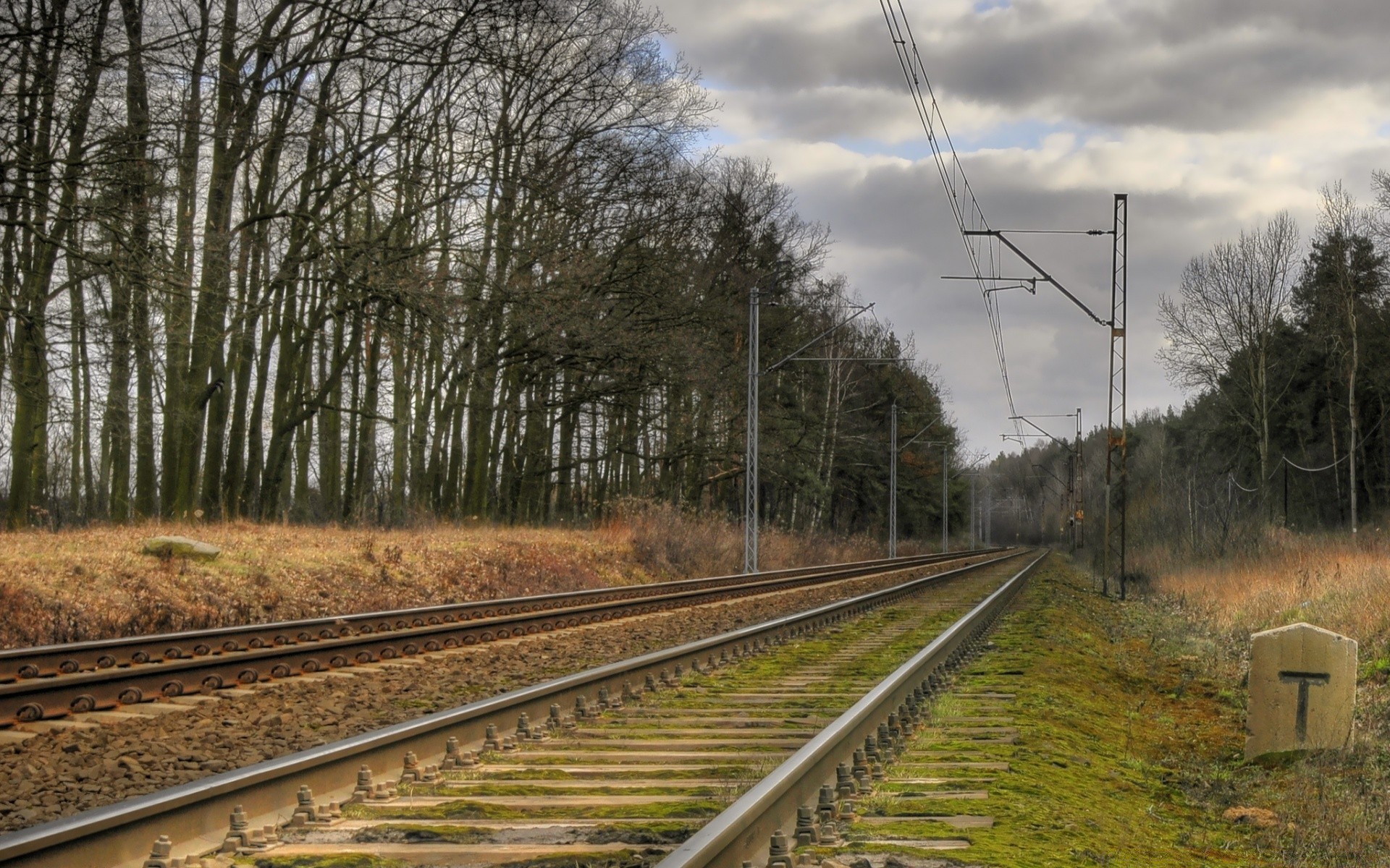 landscapes railway train track transportation system guidance road line tree outdoors travel daylight light perspective landscape industry wood