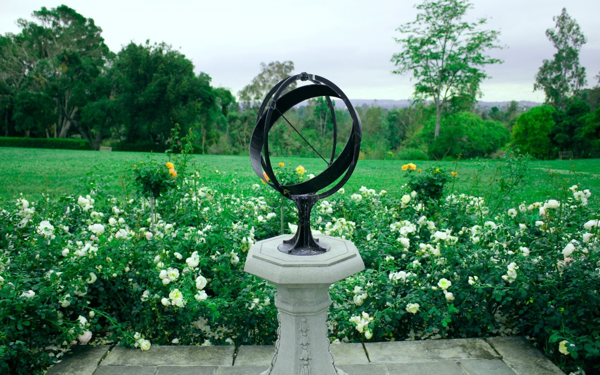 paesaggio fiore natura giardino estate erba all aperto parco flora prato albero paesaggio foglia al di fuori