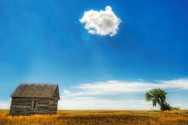 Ein einsames Haus, ein Baum und eine Wolke auf dem Feld