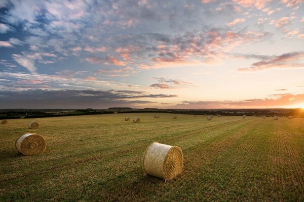 Guardando l agricoltura da una prospettiva diversa