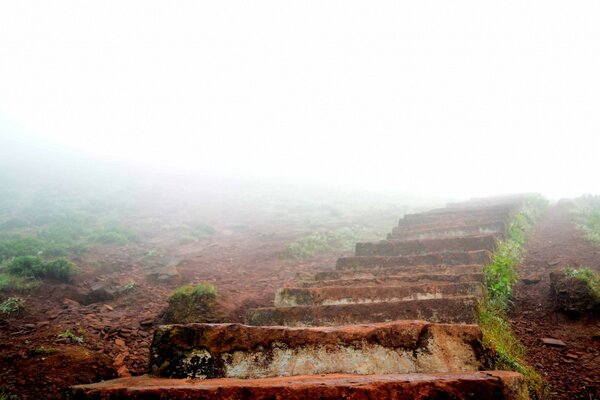 A stone staircase rises in the fog