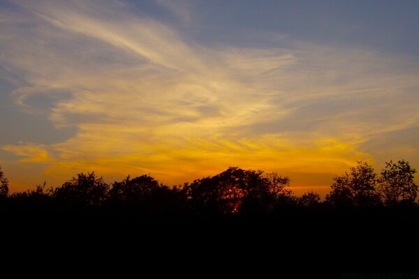 Landscape of an evening sunset against the background of a forest