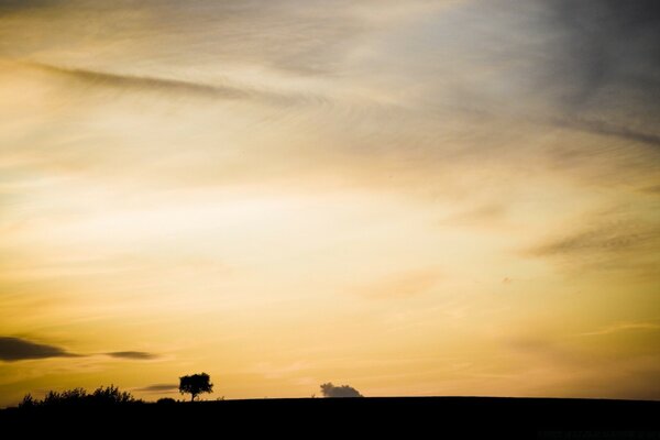 Sunset. Sky over the prairie