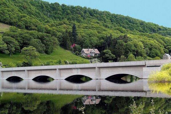 Puente arqueado sobre el agua en el campo