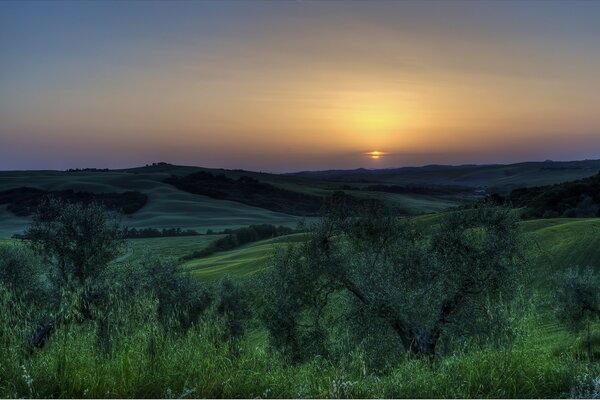 Sunset in the endless green valley