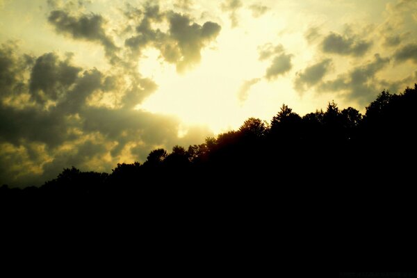 Cielo al tramonto sullo sfondo della foresta